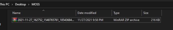 Monitoring File